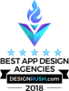 Logo Made in NY